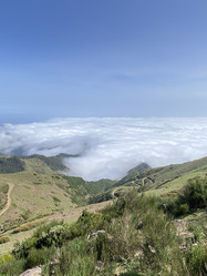 Similar image 21445370