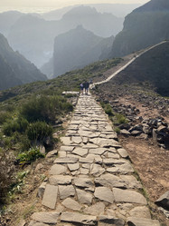 Similar image 21445371