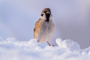 Similar image 21445378