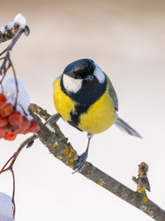 Similar image 21445382