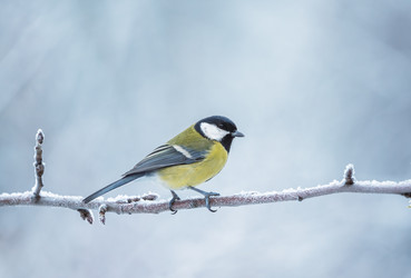 Similar image 21445398