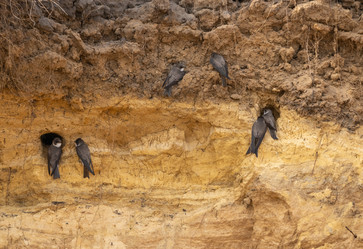 Similar image 21445401