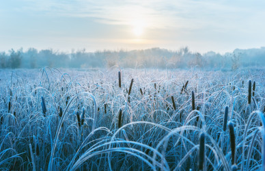 Similar image 21445402