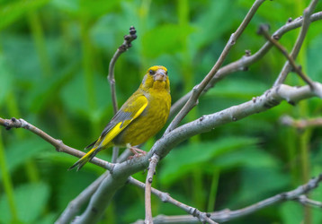 Similar image 21445403