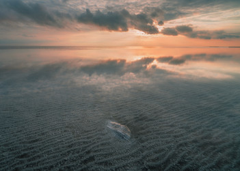 Similar image 21445410