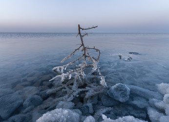 Similar image 21445411