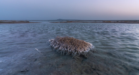 Similar image 21445415