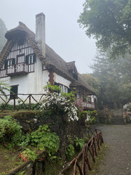 Similar image 21446334