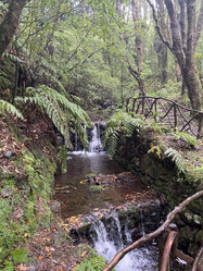 Similar image 21446345