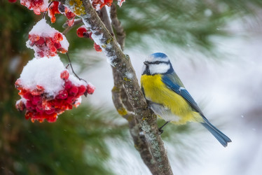 Similar image 21445428