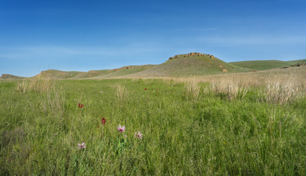 Similar image 21445429