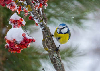 Similar image 21445430