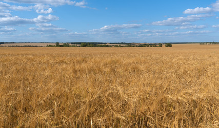 Similar image 21445438