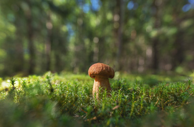 Similar image 21445442