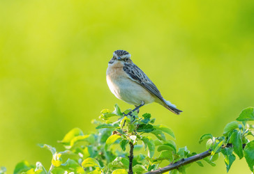 Similar image 21445445