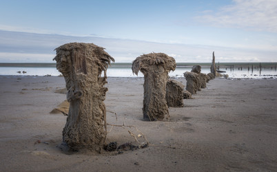 Similar image 21445456