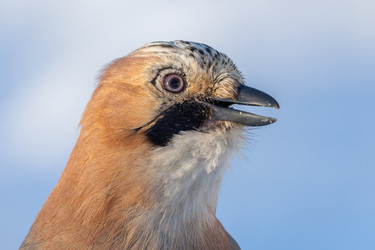 Similar image 21445457