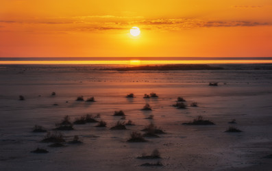 Similar image 21445460