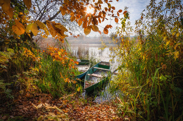 Similar image 21445464