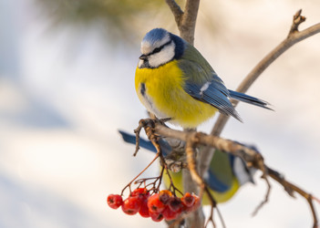 Similar image 21445465