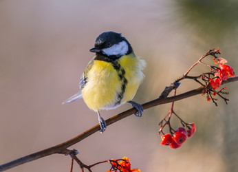 Similar image 21445469