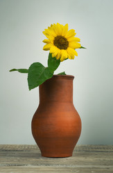 Similar image 21445479