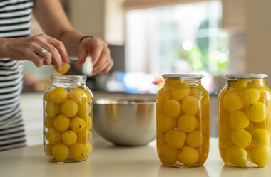 Similar image 21445494