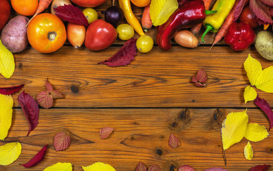 Similar image 21445499