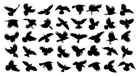 Similar image 21445109