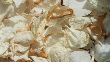 Similar image 21445573