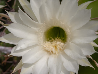 Similar image 21445576