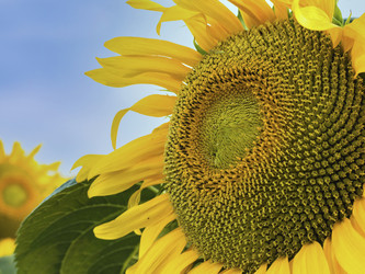 Similar image 21445580