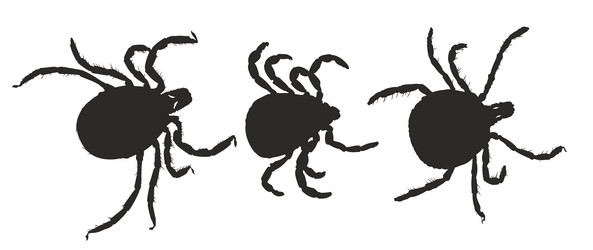 Similar image 21454690