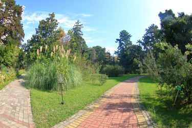 Similar image 21445786