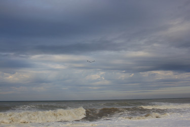 Similar image 21445793