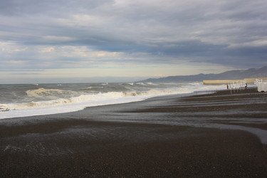 Similar image 21445535