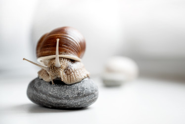 Similar image 21445545