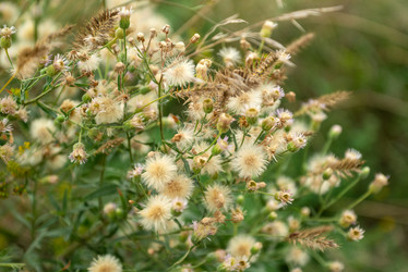 Similar image 21446570