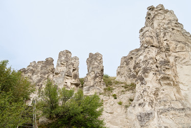 Similar image 21445915