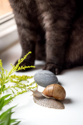 Similar image 21445548