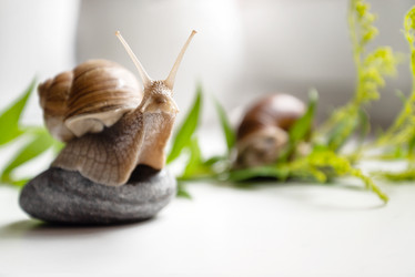 Similar image 21446572