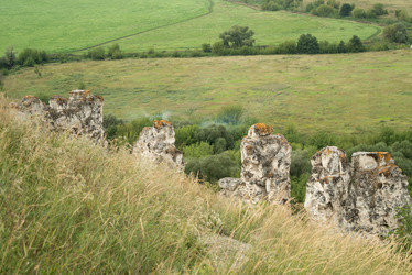 Similar image 21445920