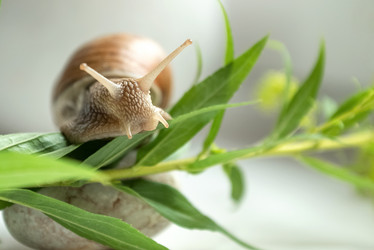 Similar image 21446574