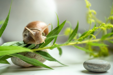 Similar image 21445921