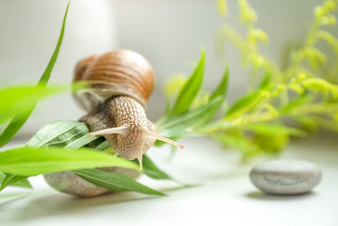 Similar image 21445557