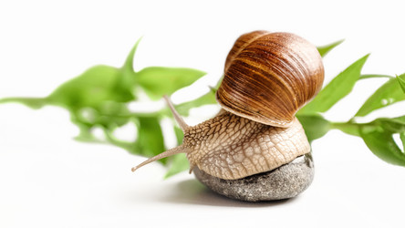 Similar image 21445923