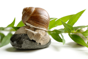 Similar image 21445924