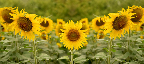 Similar image 21446578