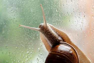 Similar image 21446579