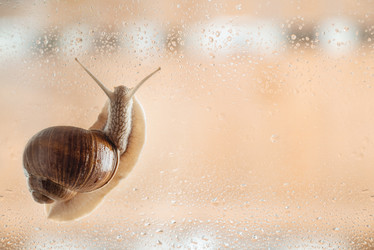 Similar image 21445927